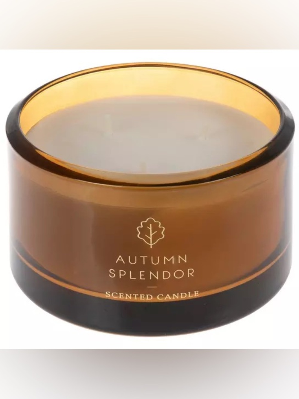Autumn Splendor Jar Candle